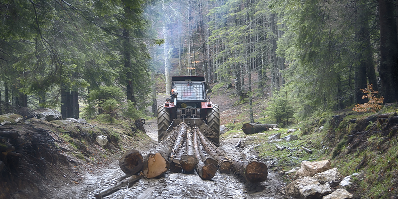 Why Winches Are Important in Forestry 