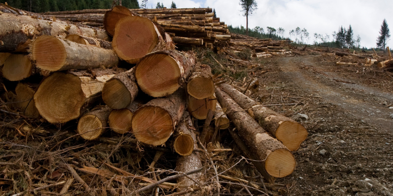 Forestry and Logging Winches