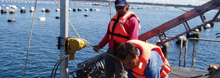 Winch speed reducer in marine application
